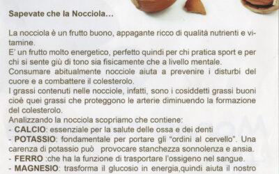 Mondo Nocciola